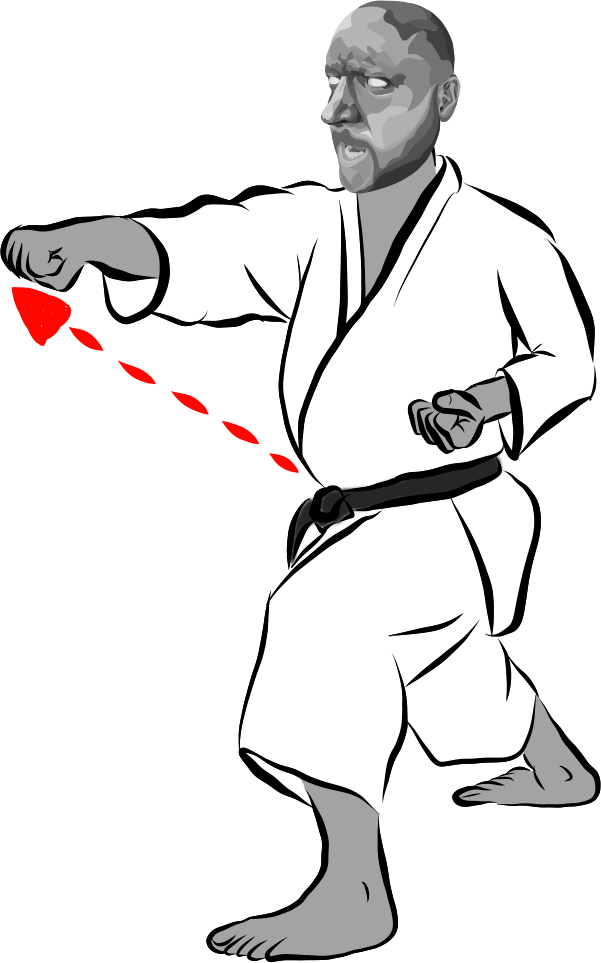 Gyaku tsuki (Reverse punch)